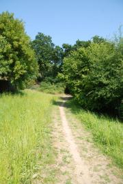 chemin de randonnée, Une belle Randonnée, Les bordures de Rance, Au Minihic sur Rance